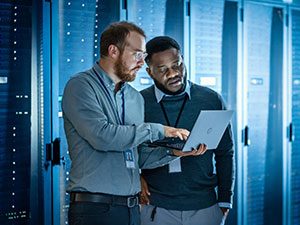 A Flexible Partnership With IT Professionals